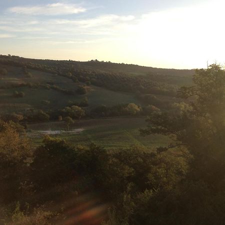 Le Tartarughe Rooms Magliano in Toscana Bagian luar foto