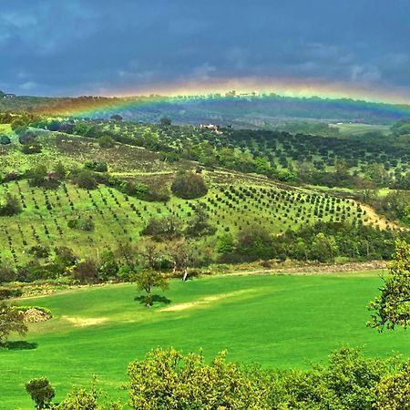 Le Tartarughe Rooms Magliano in Toscana Bagian luar foto