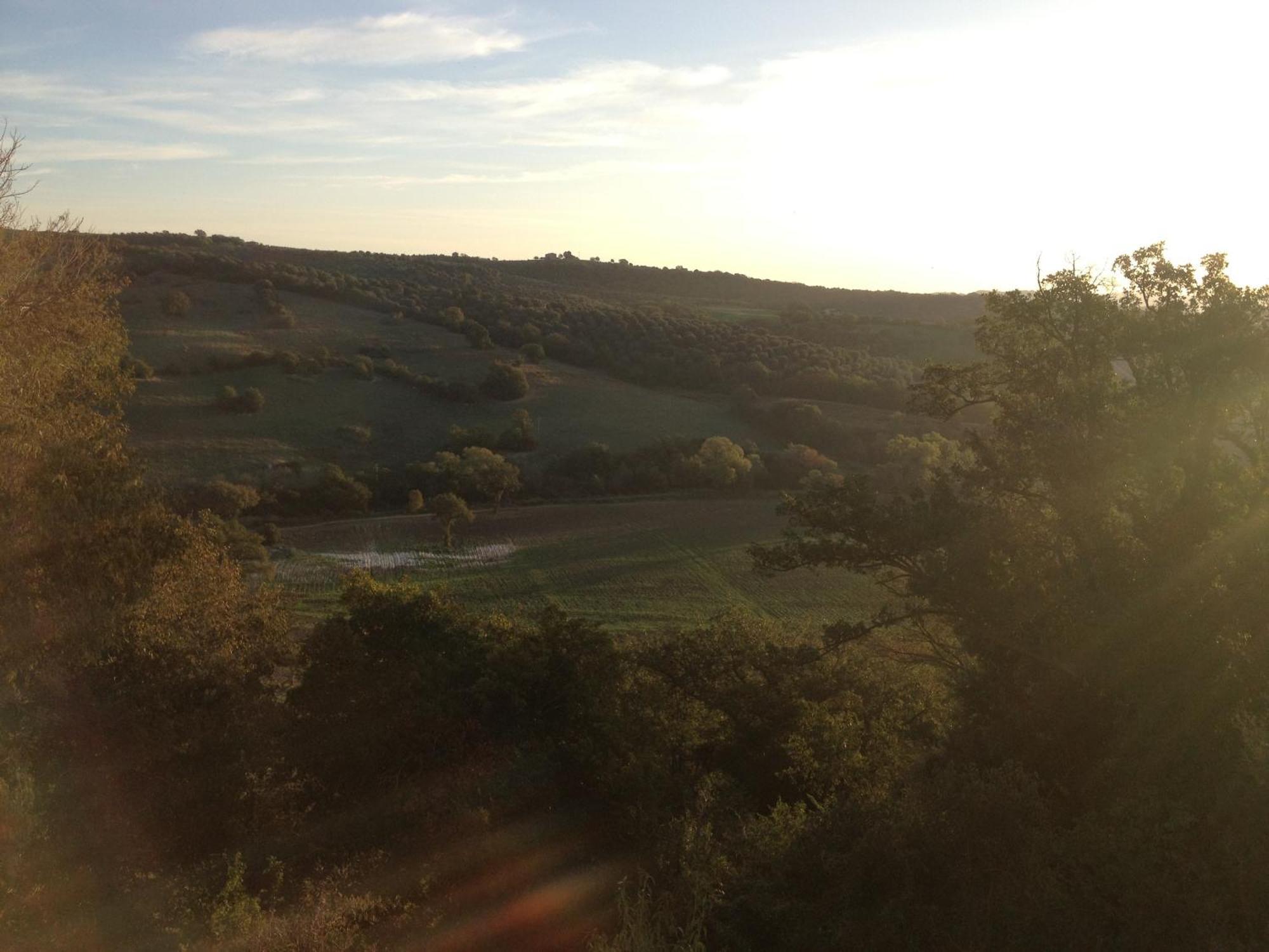 Le Tartarughe Rooms Magliano in Toscana Bagian luar foto