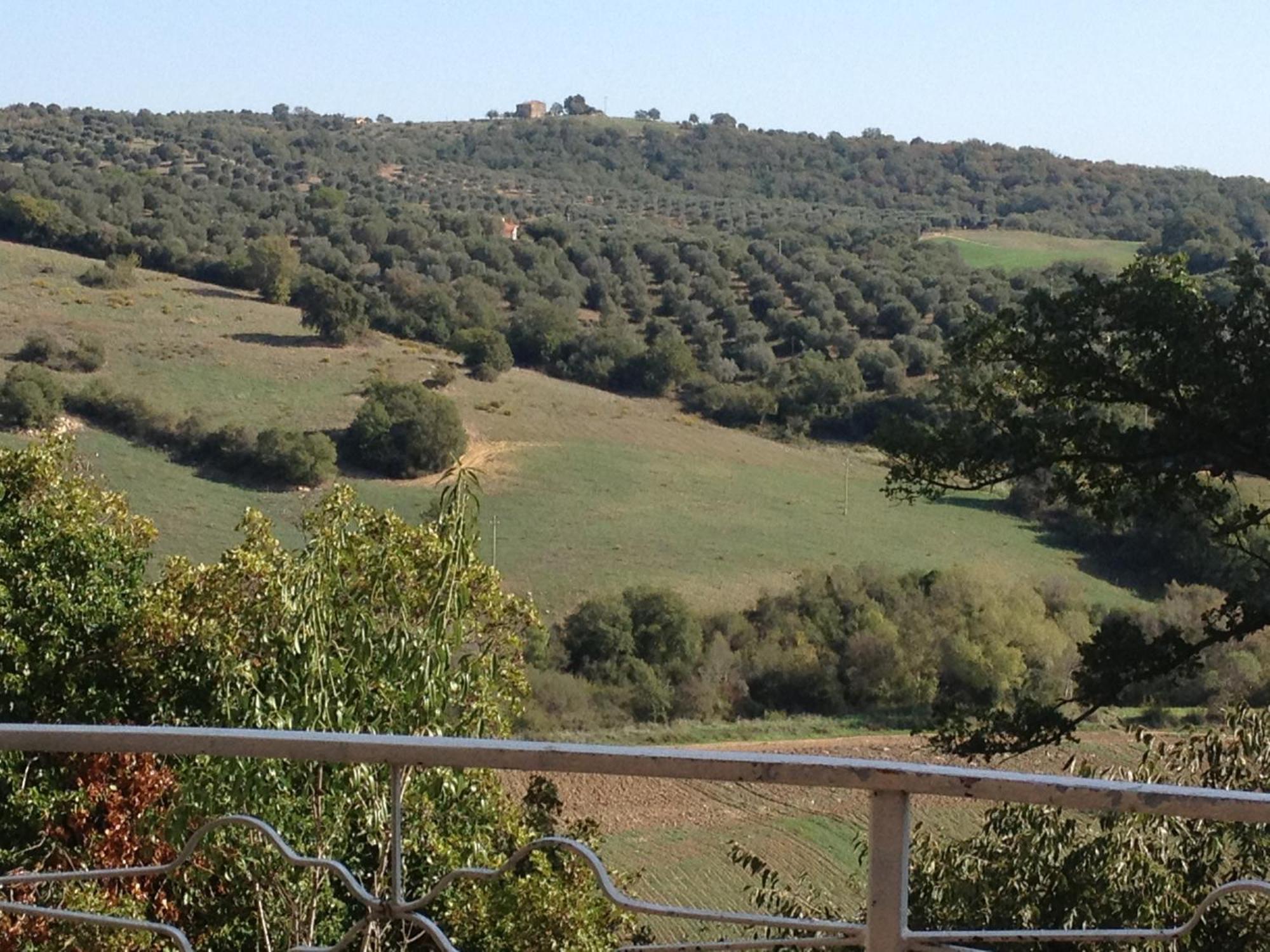 Le Tartarughe Rooms Magliano in Toscana Bagian luar foto