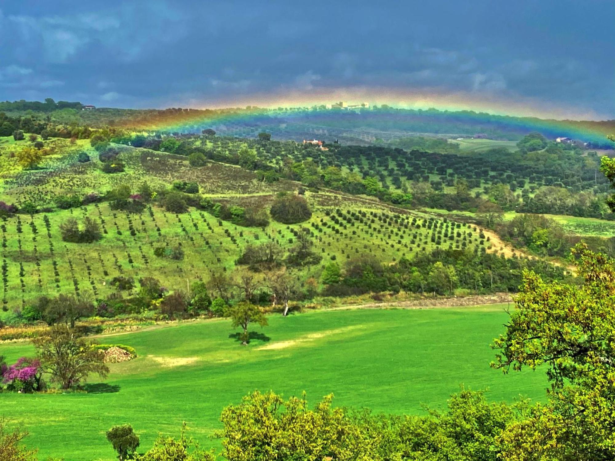 Le Tartarughe Rooms Magliano in Toscana Bagian luar foto