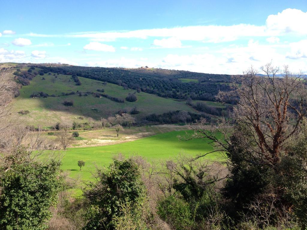Le Tartarughe Rooms Magliano in Toscana Bagian luar foto