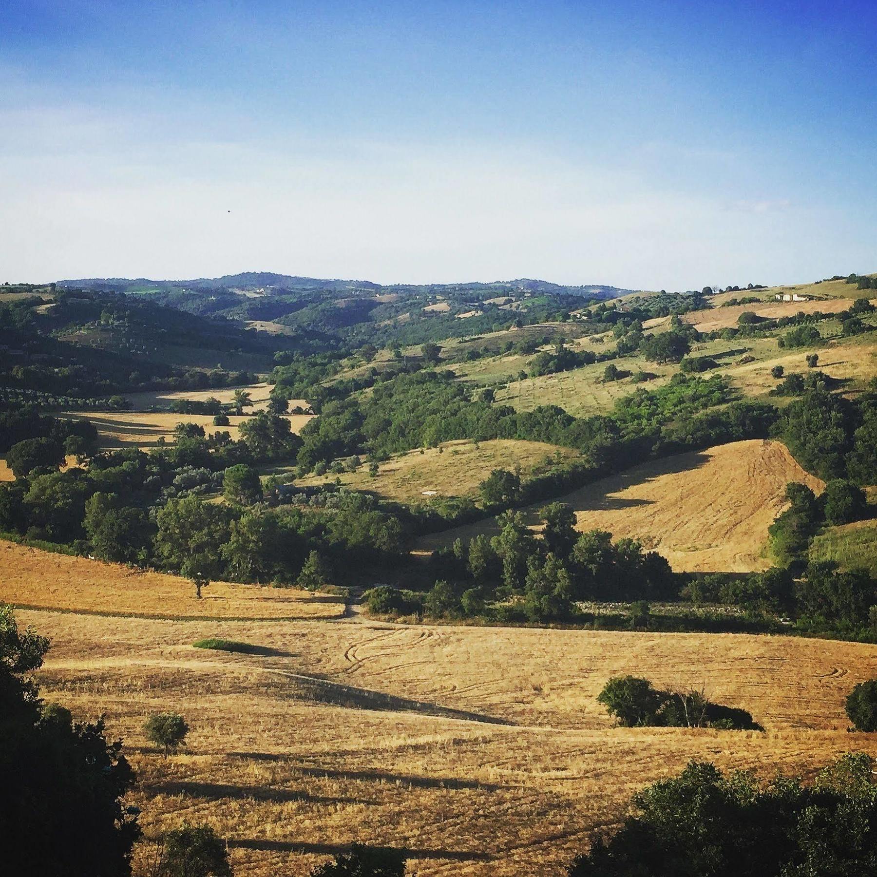 Le Tartarughe Rooms Magliano in Toscana Bagian luar foto