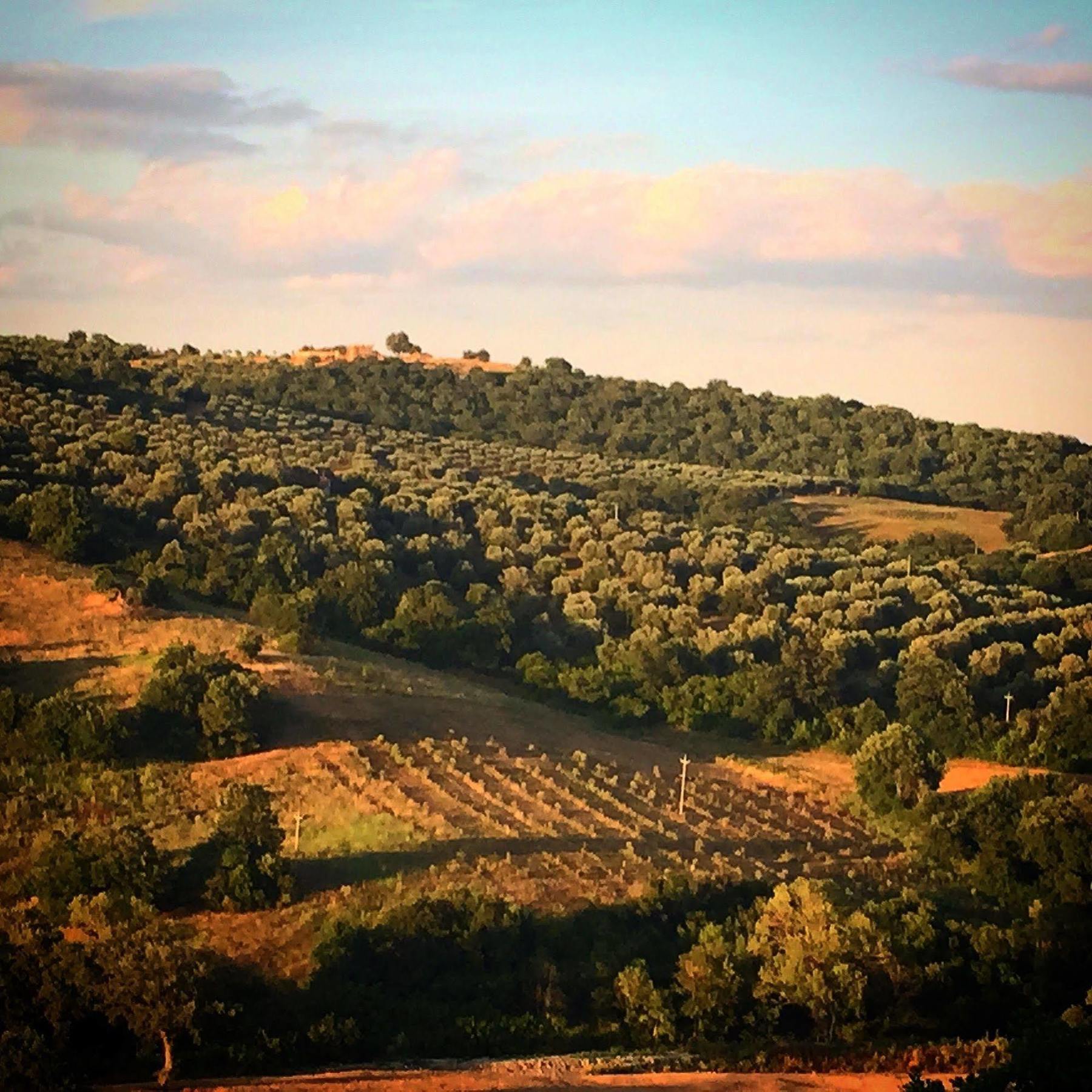 Le Tartarughe Rooms Magliano in Toscana Bagian luar foto