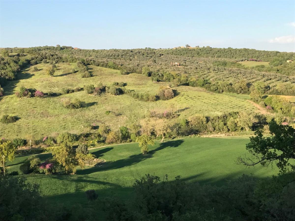 Le Tartarughe Rooms Magliano in Toscana Bagian luar foto