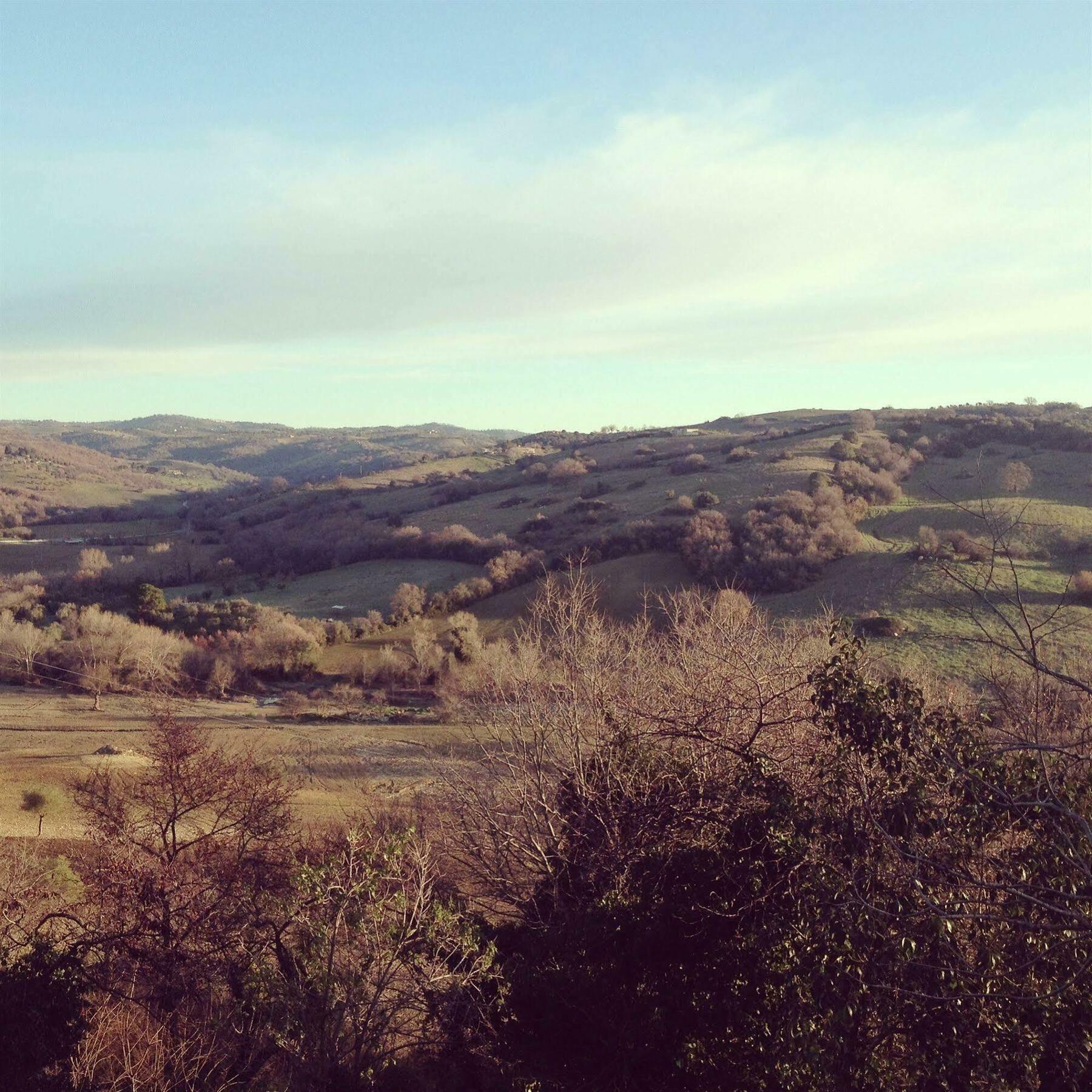 Le Tartarughe Rooms Magliano in Toscana Bagian luar foto
